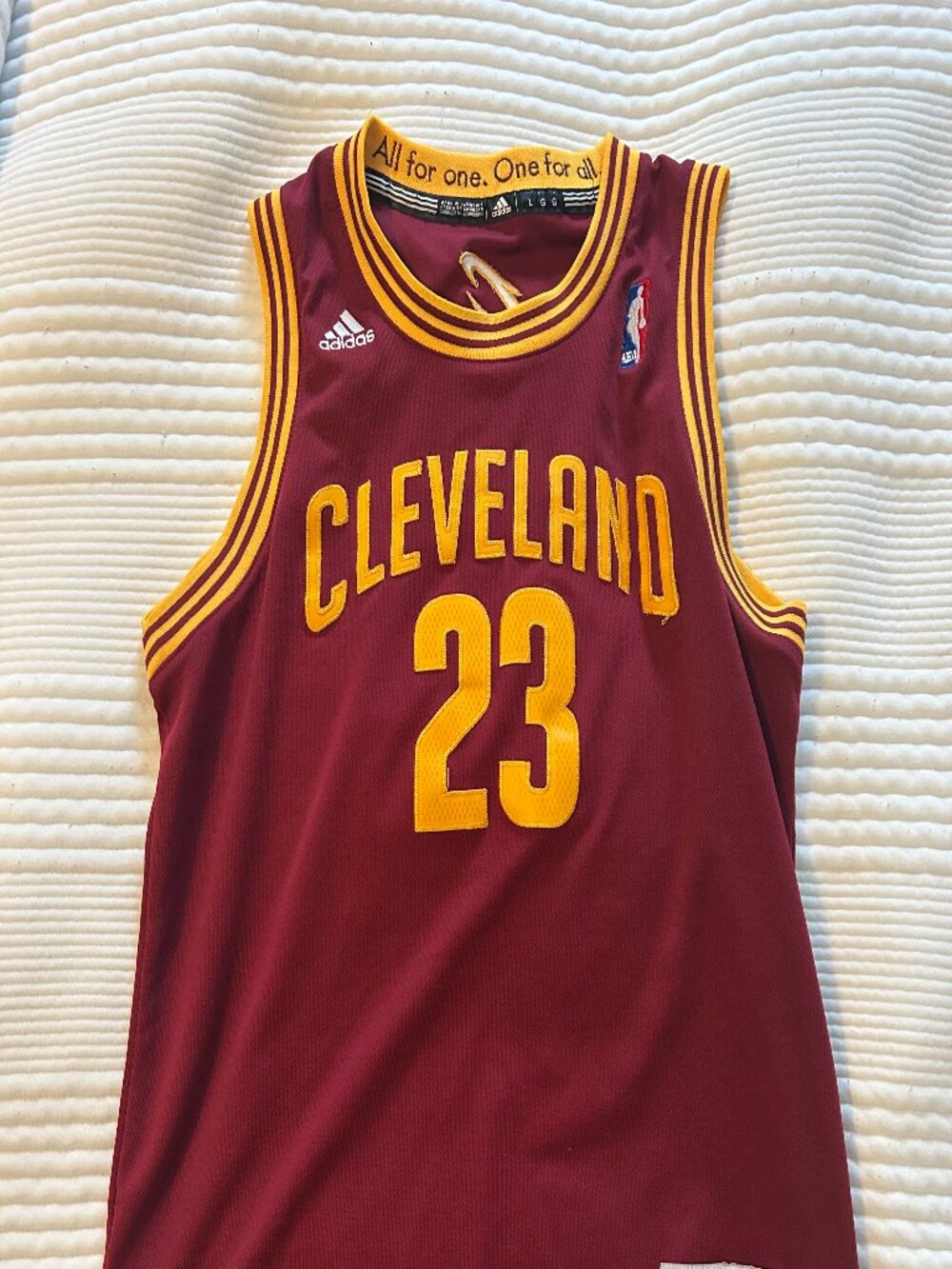 Lebron James Cleveland 23 Jersey Youth NBA Official Licensed Product Sz L